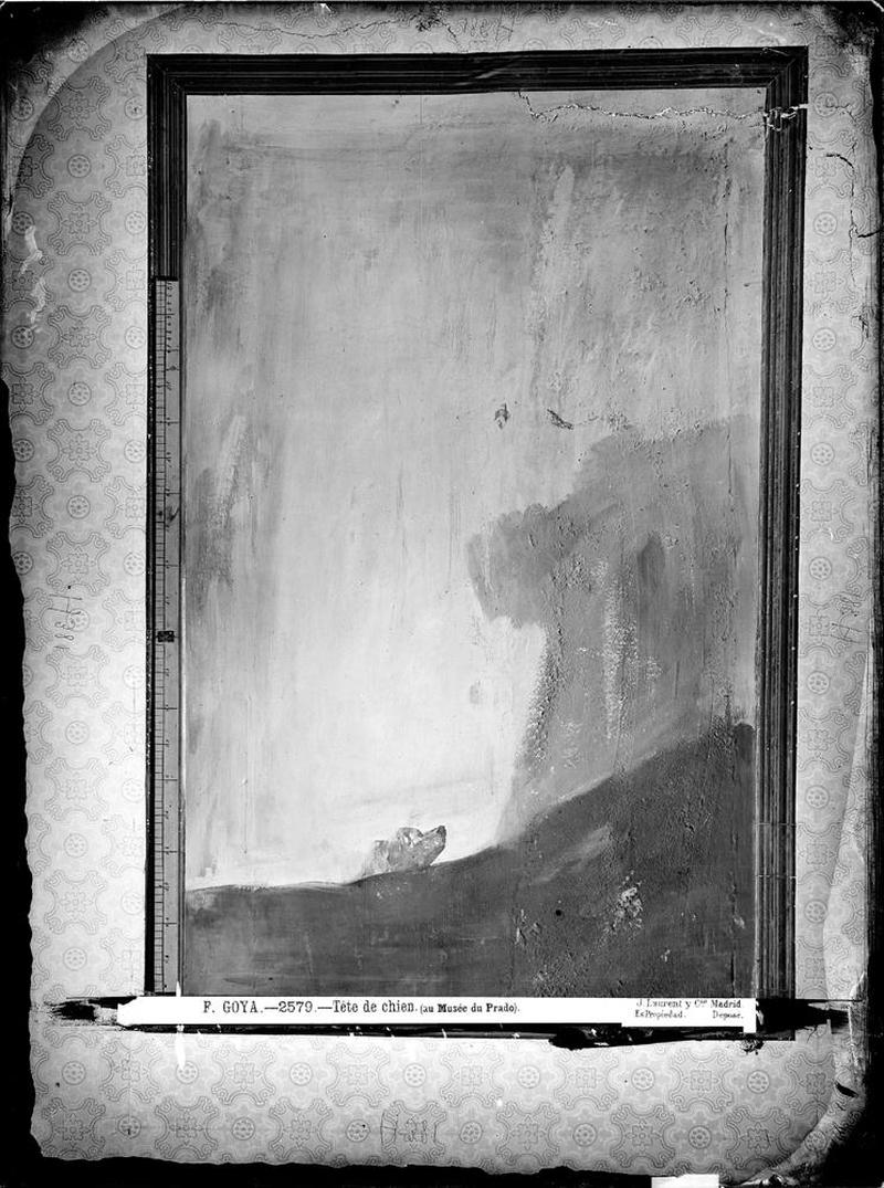 Imagen de J. Laurent y Cía. <em>Perro semihundido</em> de Goya