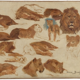 Leonas y leones